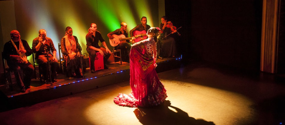 I Migliori Spettacoli Di Flamenco A Barcellona | VIVI Barcellona